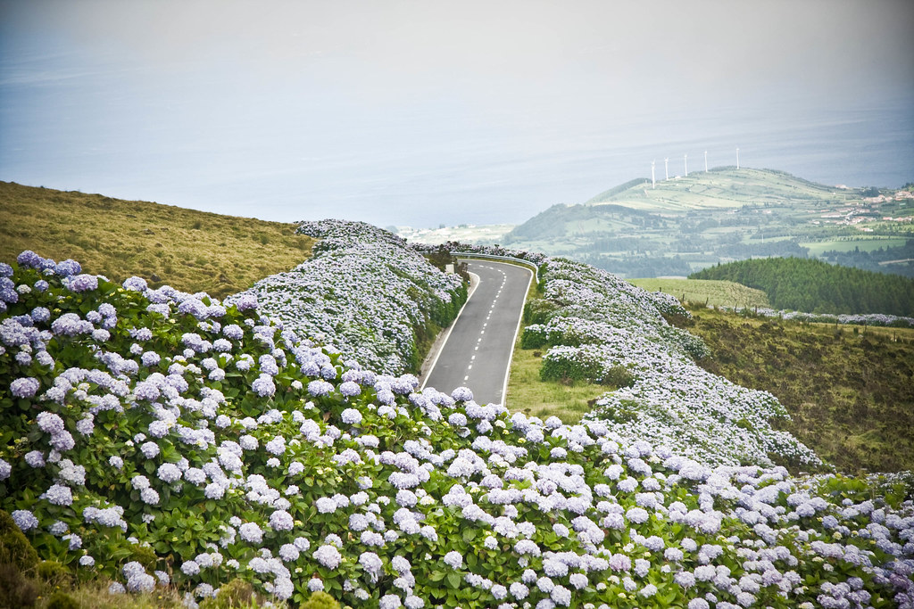 Faial, Insula Albastra 2022