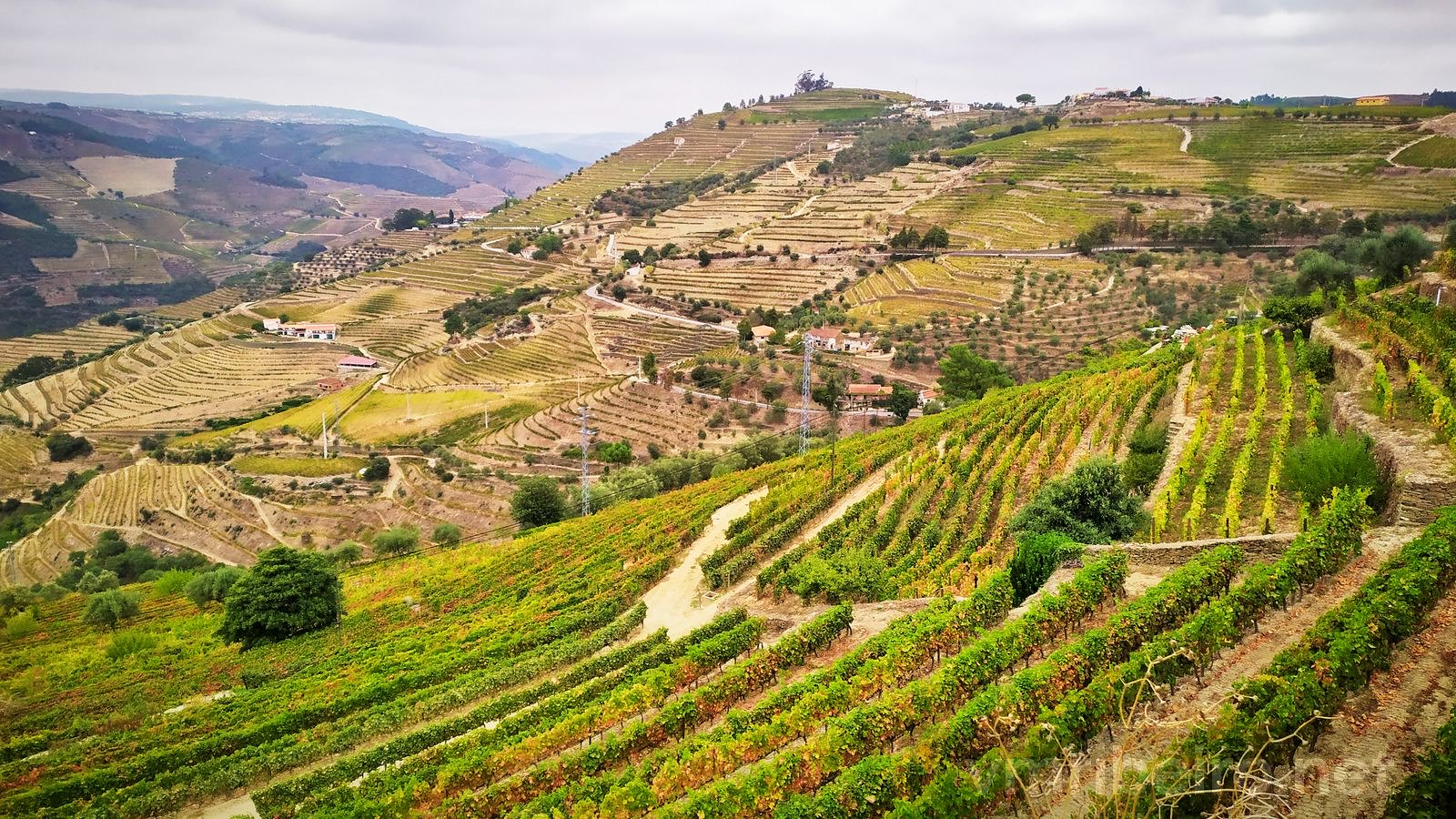 Valea Douro 2022